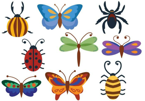 Beetles, Butterflies & Bugs – our art competion